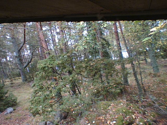 Cottage view