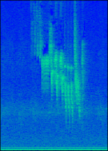 Spectrogram of Common Chaffinch